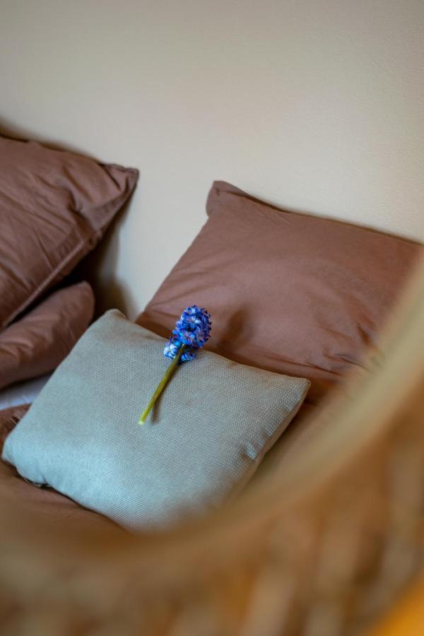 Mosters Bed & Breakfast Guldborg Extérieur photo